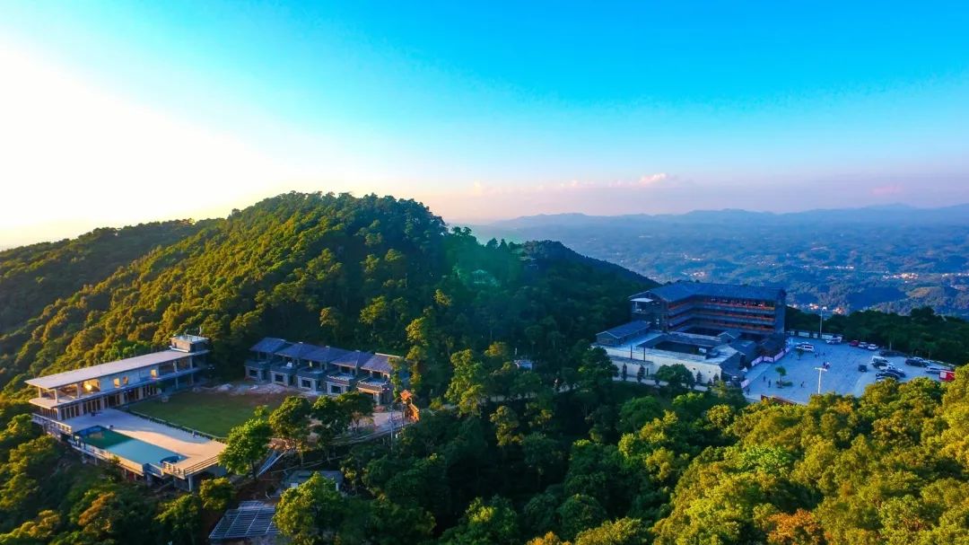 茶香禅韵入梦完整视频,世外桃源神仙度假地