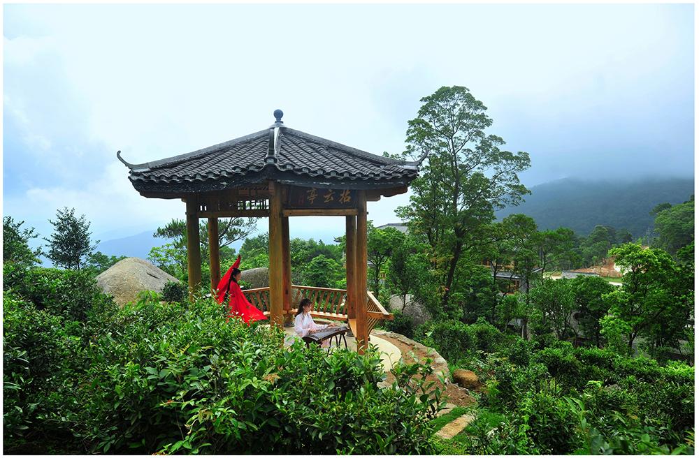 茶香禅韵入梦完整视频,世外桃源神仙度假地