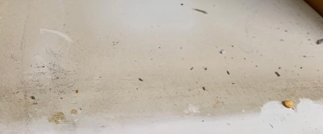 如何解决拖地后残留毛絮,怎么消除家里的毛絮