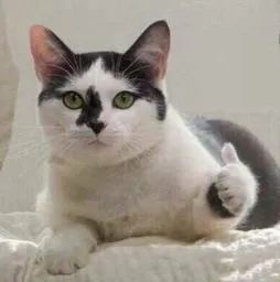 宫颈病变一度需要治疗吗,宫颈低度病变做了锥切会复发吗