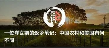 60年代一块钱能买什么,60年代一毛钱能买到什么