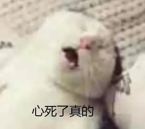 体重秤称的体重轻,早上起来称体重比较轻怎么回事