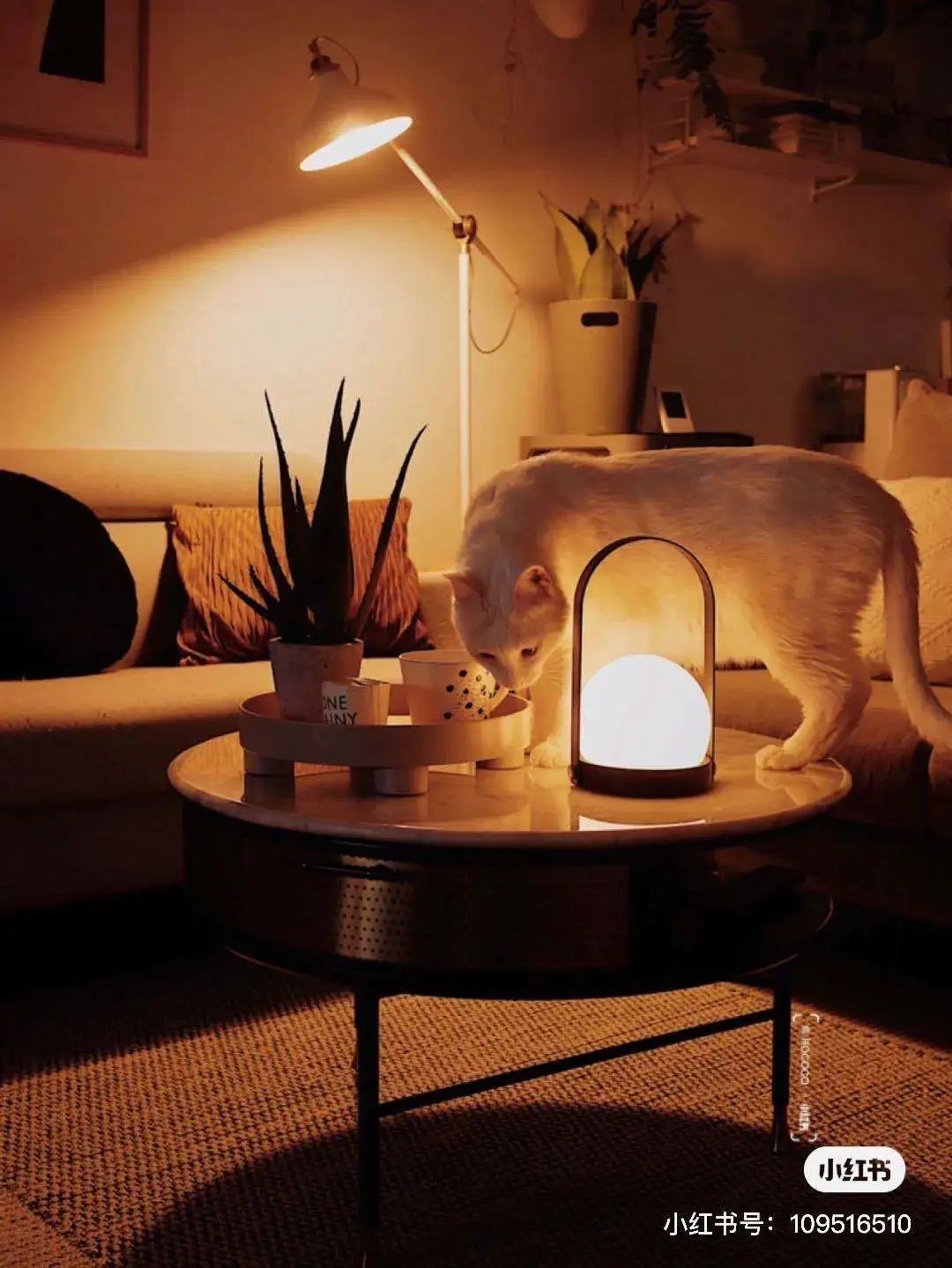 宜家好物推荐排行榜小物件,宜家好物排行榜必购