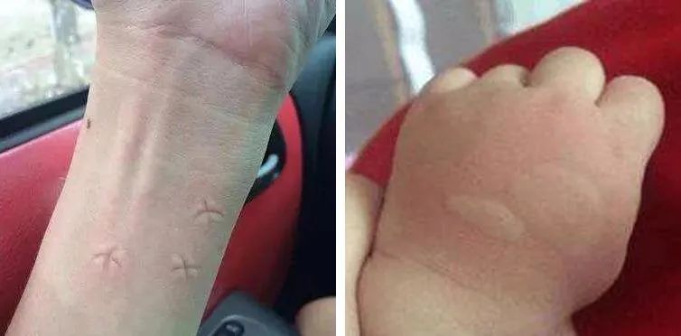 日本人真会玩的东西,日本人真会玩什么游戏