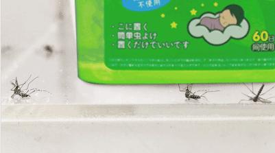 日本人真会玩的东西,日本人真会玩什么游戏