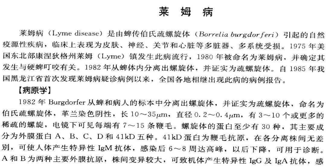 耳垂很红并发肿,耳朵上耳廓水肿图片