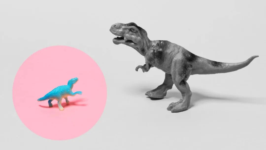 那些盛产优秀CEO的公司，究竟蕴藏了什么秘密？