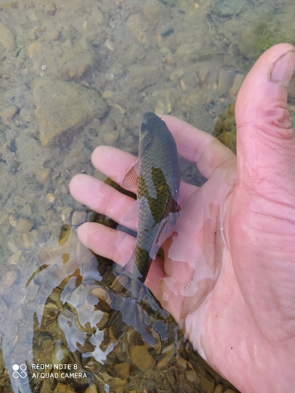 海竿串钩正确钓法视频,海竿串钩野钓最佳方法