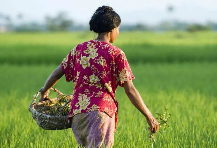 “外嫁女”纠纷：面对治理难题的司法避让