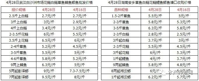 小草鱼价格会上涨吗,小草鱼价格行情最新