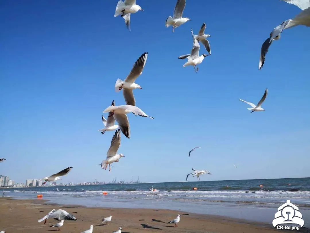 北戴河看海是免费的吗,北戴河五一看日落