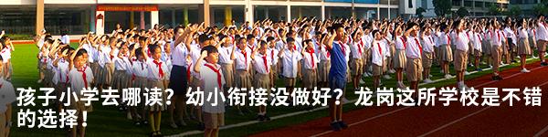 一定要去打卡的网红游乐项目,怎么打造特色游乐网红打卡乐园