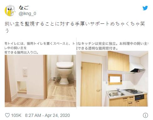 猫奴的春天!日本这家公司专门打造出「猫奴公寓」,每一处设计都超贴心