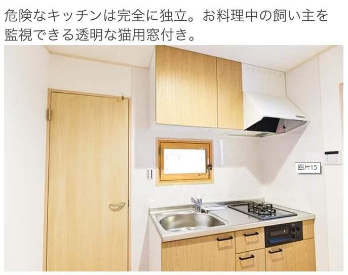 猫奴的春天!日本这家公司专门打造出「猫奴公寓」,每一处设计都超贴心