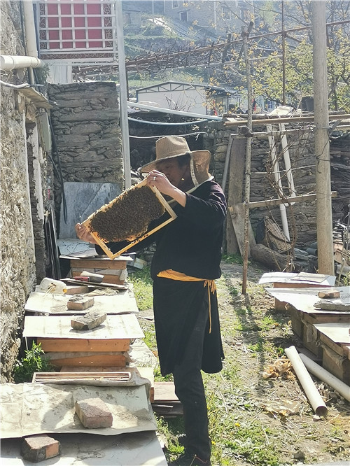 产业扶持是脱贫致富的重要抓手,产业发展拓宽脱贫致富路