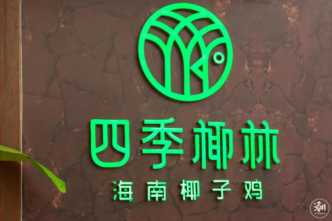 五一打卡超大的油菜花田,五一打卡家门口的花海