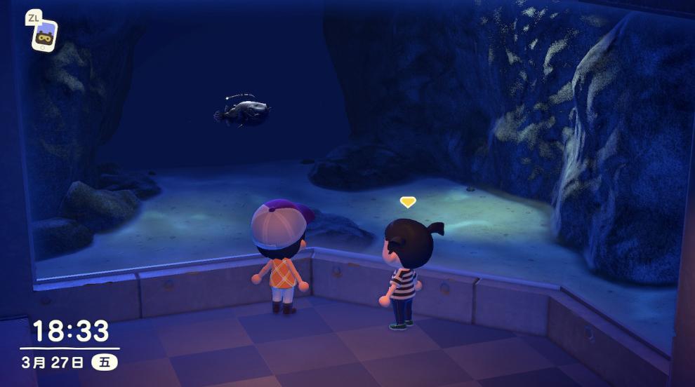 动物森友会玩些什么,动物森友会能2人用一个switch玩么