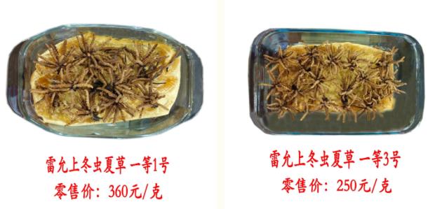 鍐櫕澶忚崏鐭虫枦绀肩洅,鍐櫕澶忚崏閾佺毊鏋枟