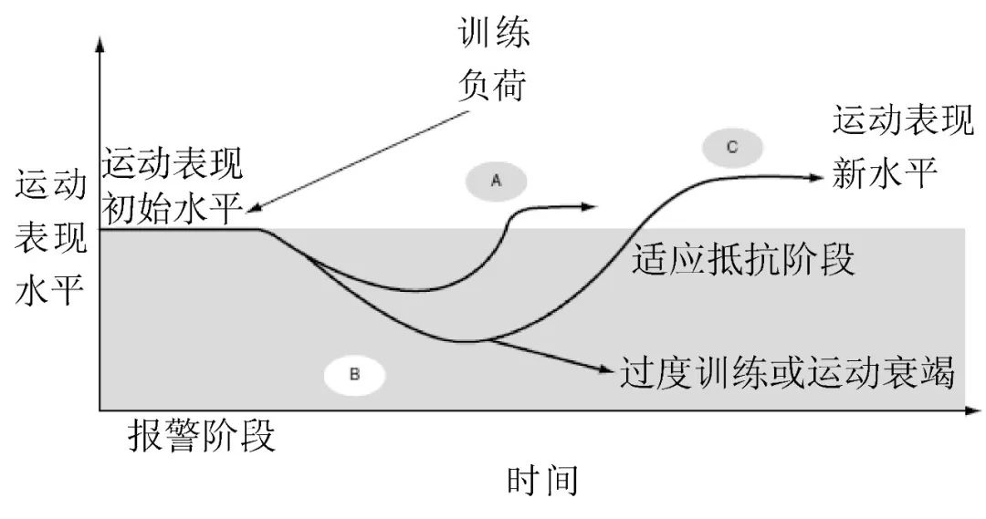运动训练理论与实践研究方向,运动训练理论可分为哪三个阶段
