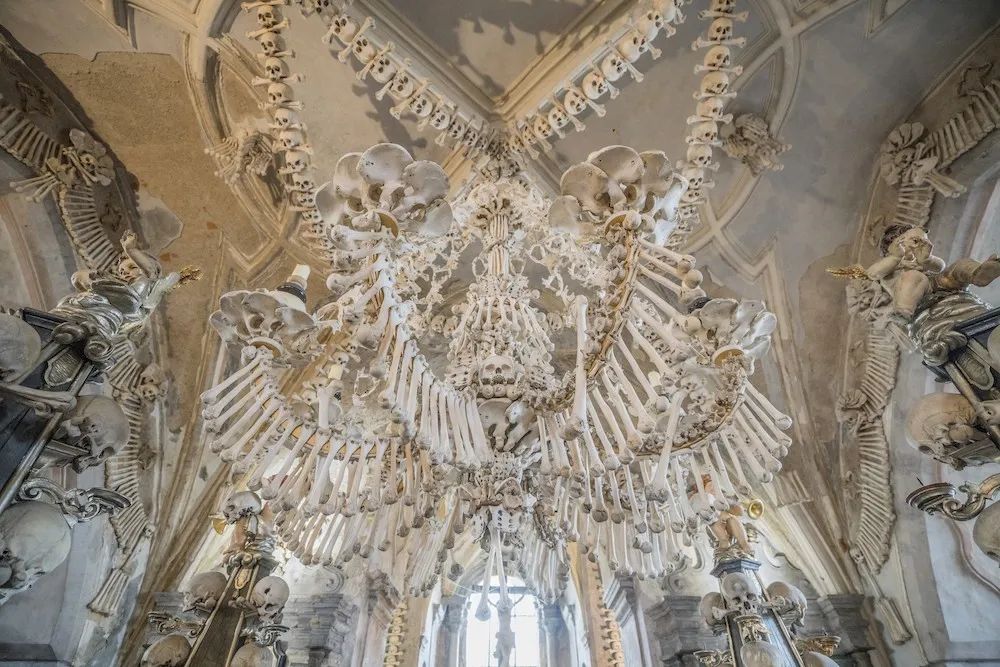 黑死病欧洲恐慌,黑死病给欧洲造成的死亡