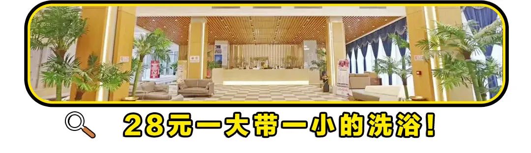 2023体育生高考报名指南,体育生高考报名指南最新版