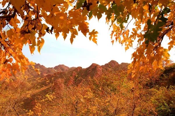 爱上赤峰，给你“12个理由”够不够？（下）