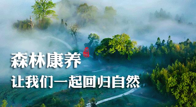 满意在三明柯丽婷完整视频,满意在三明宣传片