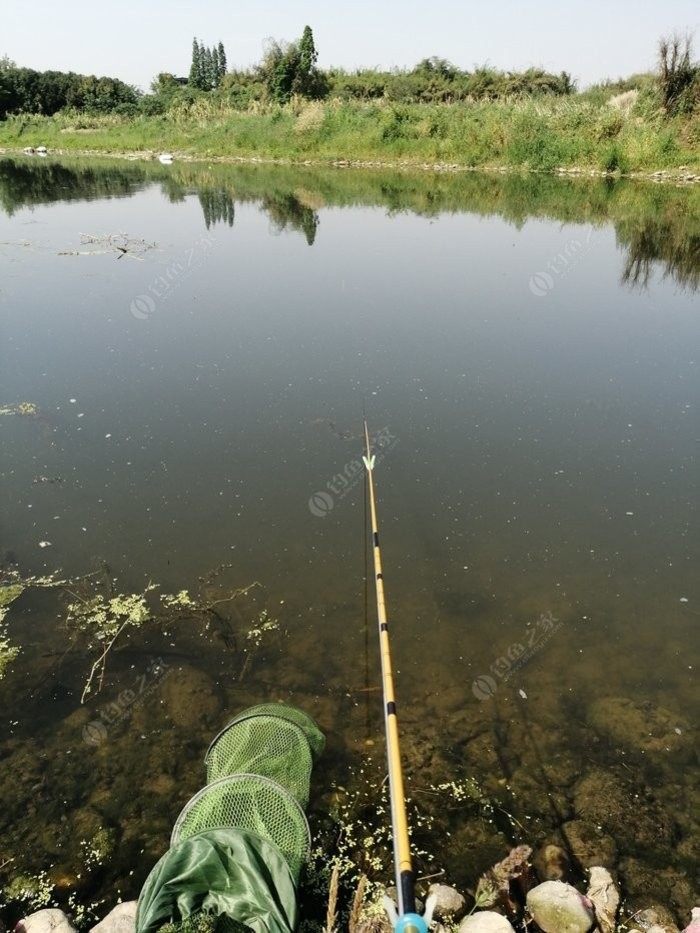 老钓友用什么钓鲫鱼,老钓友钓鱼技巧