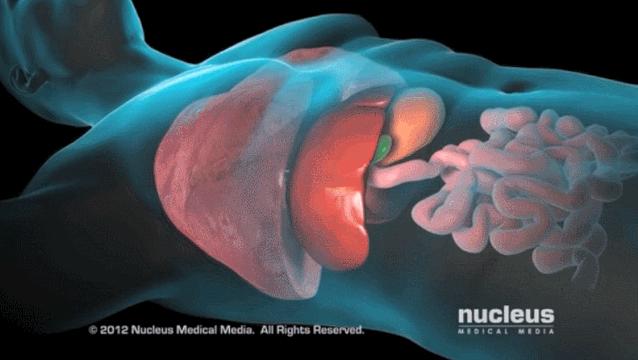 盘点医院各大科室侵入性检查：穿刺、内镜各显神通，小活检标本以“小”见“大”