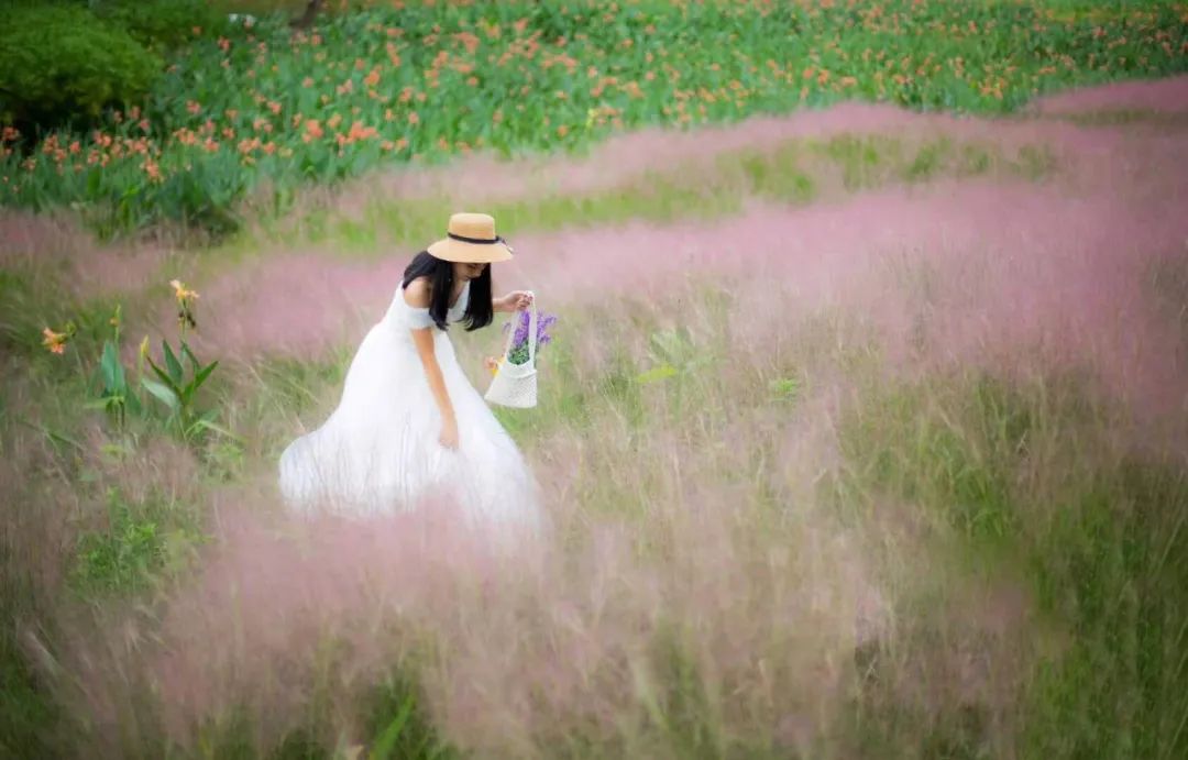 南充纳凉避暑玩水好去处,南充山里天然玩水凉快的地方
