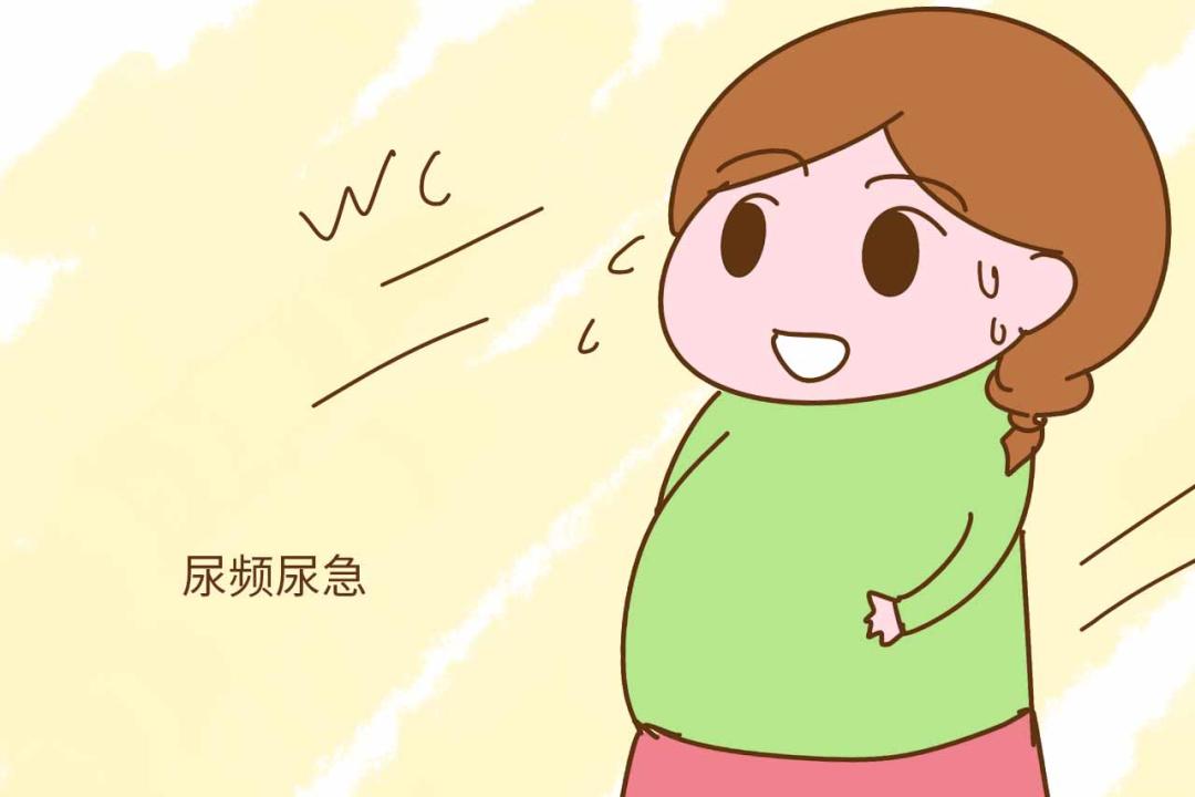 孕期跑厕所频繁怎么办,孕妇便秘尿频怎么办