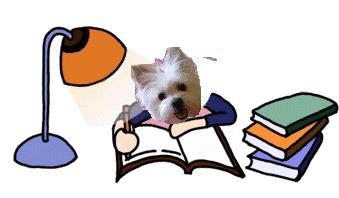 7人骨折算是初三学生吗,初三开学多人骨折