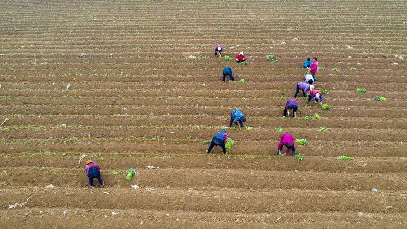 泗洪中考那些事,今日泗洪县大小事