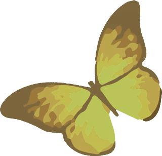 蒙古族的特色服饰图片,蒙古草原风情服饰