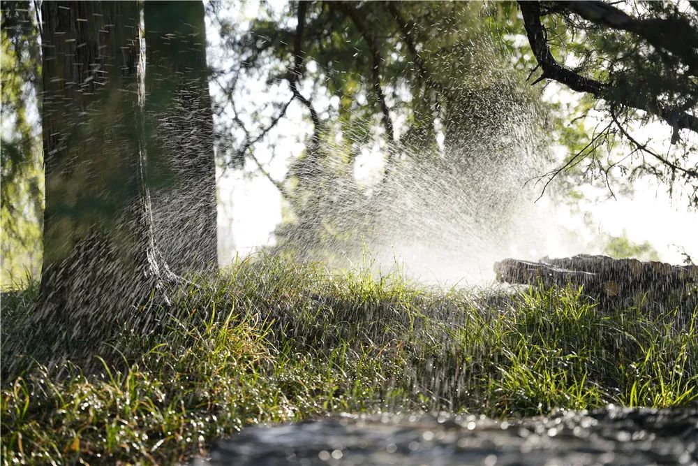 适马无反150-600镜头,适马24-70f2.8dhsm测评