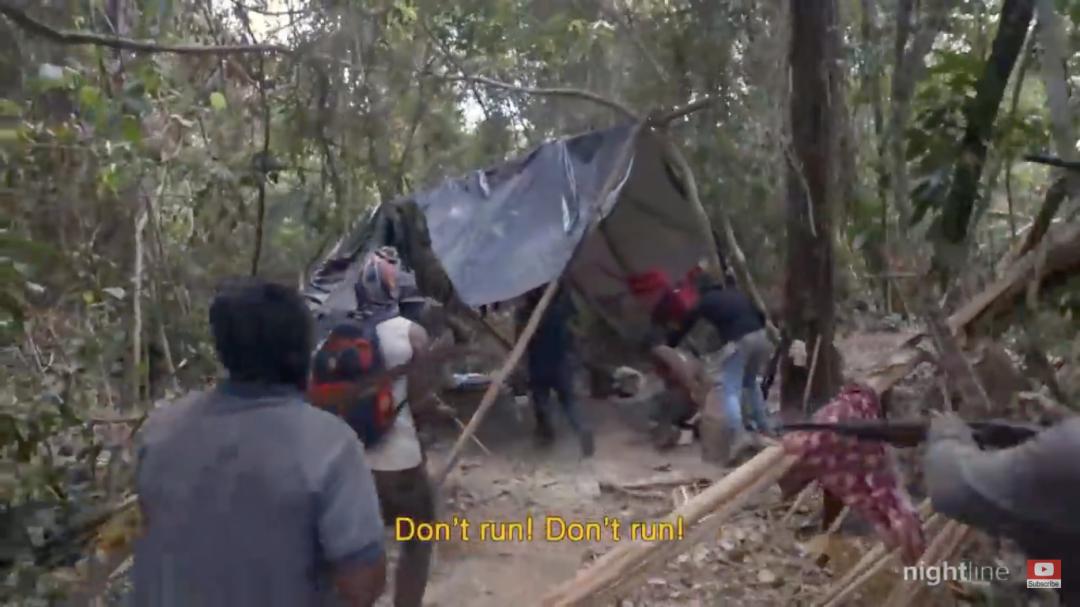 三个月砍掉20个曼哈顿,一年砍掉一个国家,亚马逊已经到了最危急的时候