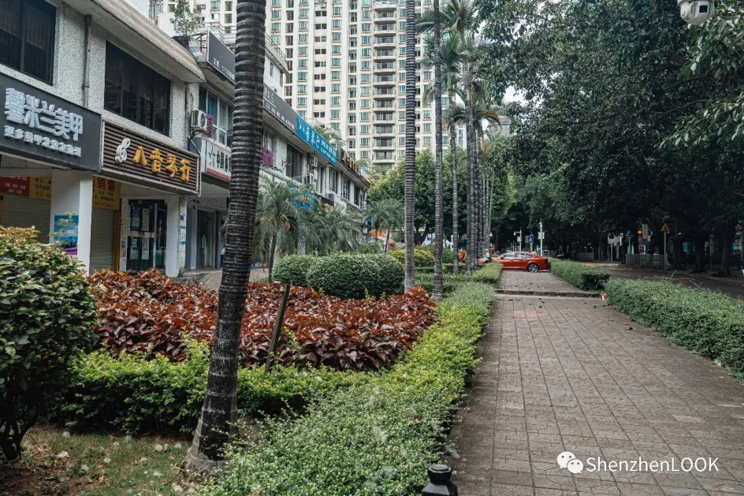 严浩翔说look这是tnt什么舞台,look这是什么牌子的包包