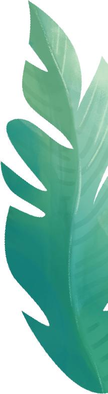 第五届全国科学实验展演大赛视频,全国科学实验展大赛作品