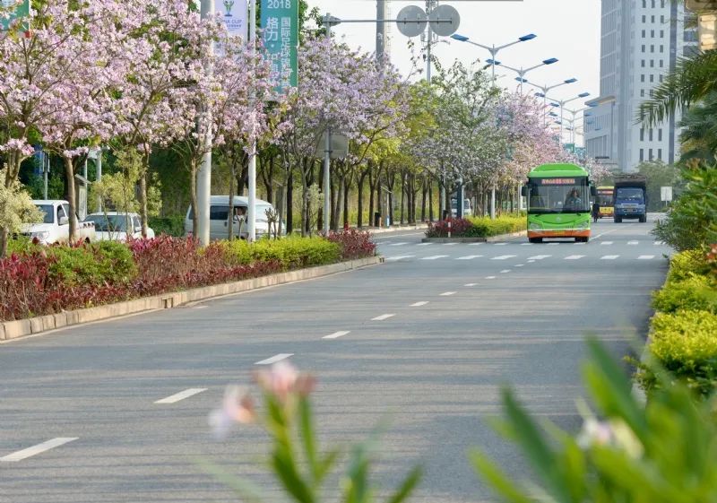 南宁打通七条断头路,南宁将打通6条断头路