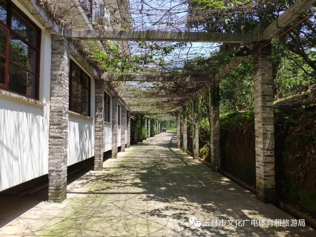 分享|“云游”林间小屋、石砌村道、稻田果树！乡村康养的好去处