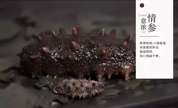 最新海参市场消息,海参市场靠谱吗