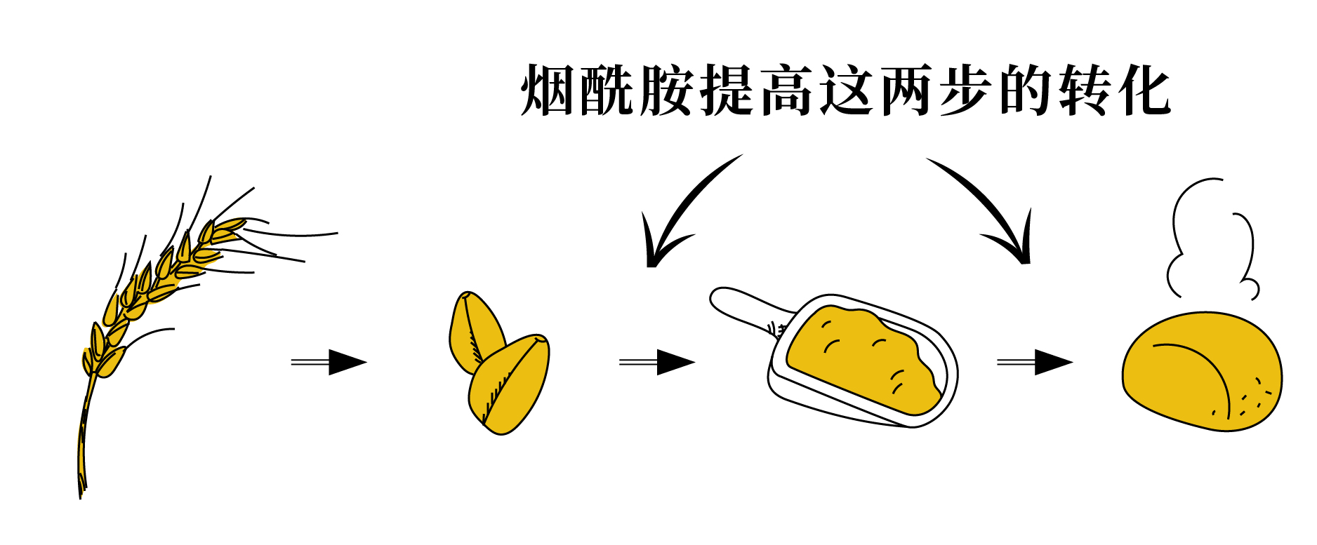 olay国内版和国外版有什么区别,olay精华会不会反黑