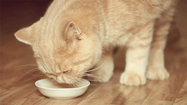 喷花露水驱蚊止痒,黄圣依代言的保湿防晒喷雾
