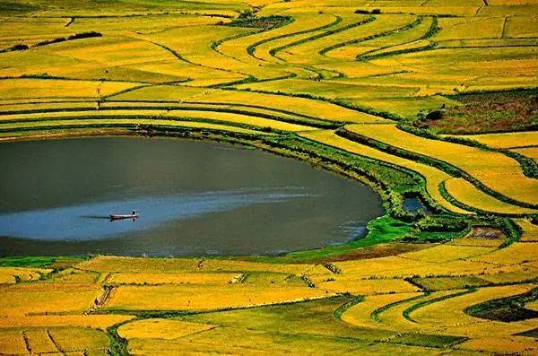 向往的生活带你体验乡间的路,向往的生活田园生活