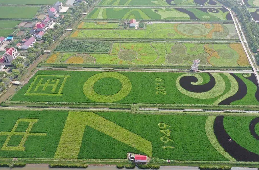 向往的生活带你体验乡间的路,向往的生活田园生活