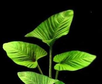 11个水产养殖的土办法,水溶肥的施肥方法和禁忌