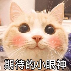 武清放假通知最新幼儿园,天津武清放假最新通知