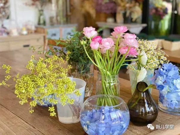 妈妈,我们为什么要吃牛肉,牛会不会疼?