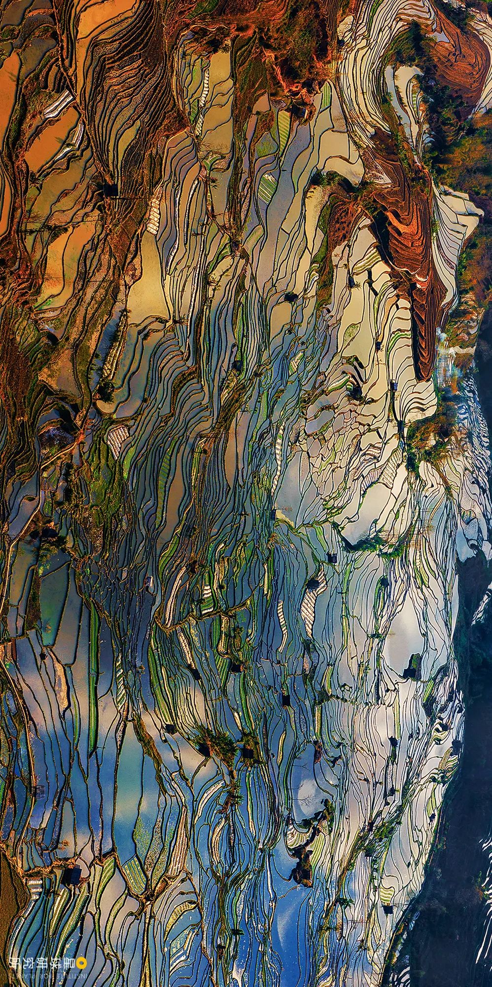 云南红河景色迷人,云南红河州哪些地方自然风光美