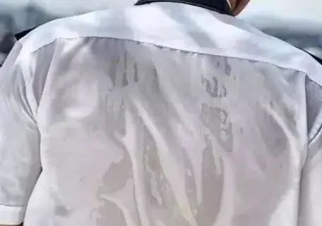 日本人太疯狂！羊奶做成了T恤，比冈本001薄，穿上3秒凉爽5°